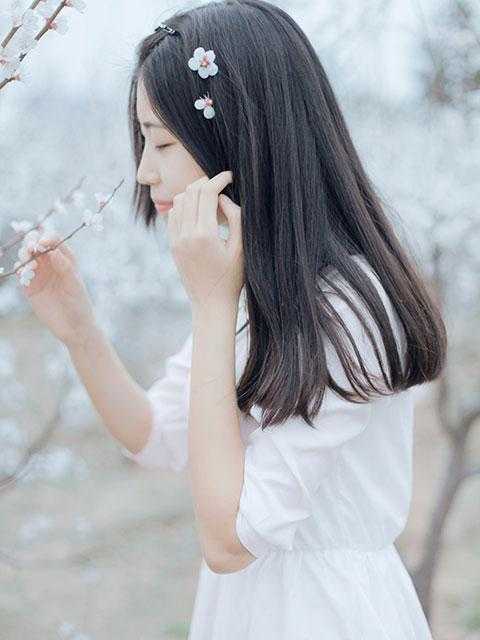 弟弟砸了富婆迈巴赫后，全家重生了沈砚青叶珈宁