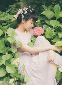 清风入梦，星河长眠全局