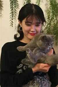 娘子难产大出血，我在门口淡定斗蛐蛐完结文