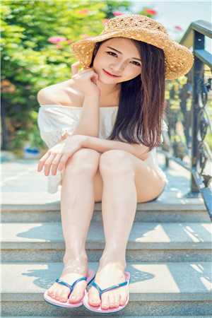 迟归望星河小说全文免费阅读