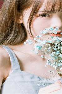 花落人终散全文