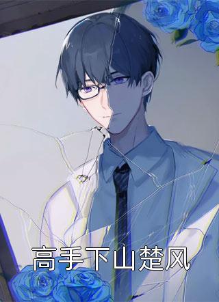爱意散在星河里小说江时宴林乐悠完结版