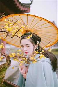 万神鼎小说楚夏夏蓝曦完结版